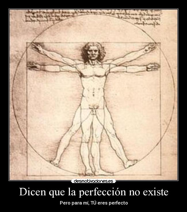 Dicen que la perfección no existe -