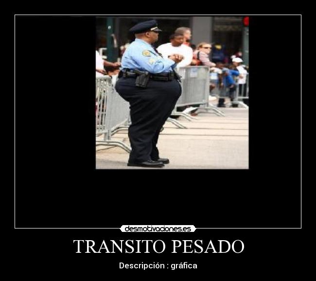 TRANSITO PESADO - Descripción : gráfica