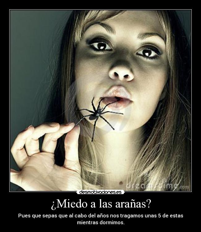 carteles miedo desmotivaciones