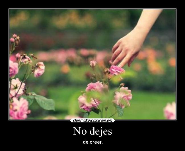 No dejes - de creer.