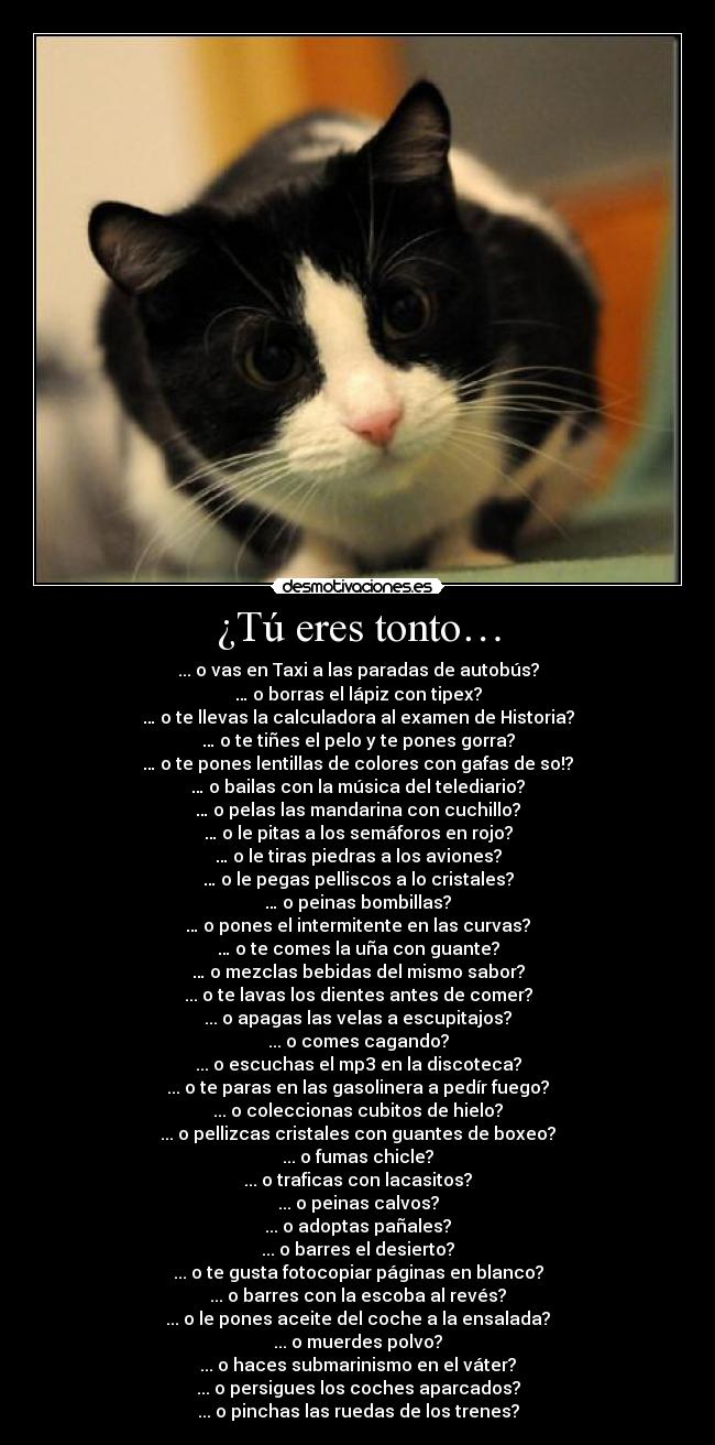 ¿Tú eres tonto… - 