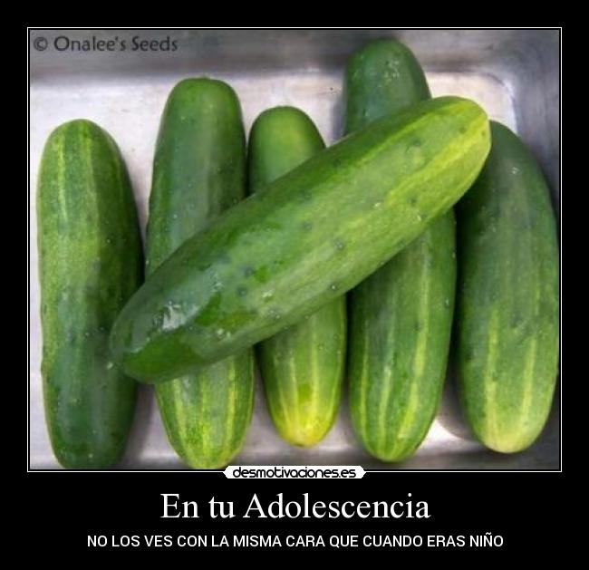 En tu Adolescencia - NO LOS VES CON LA MISMA CARA QUE CUANDO ERAS NIÑO