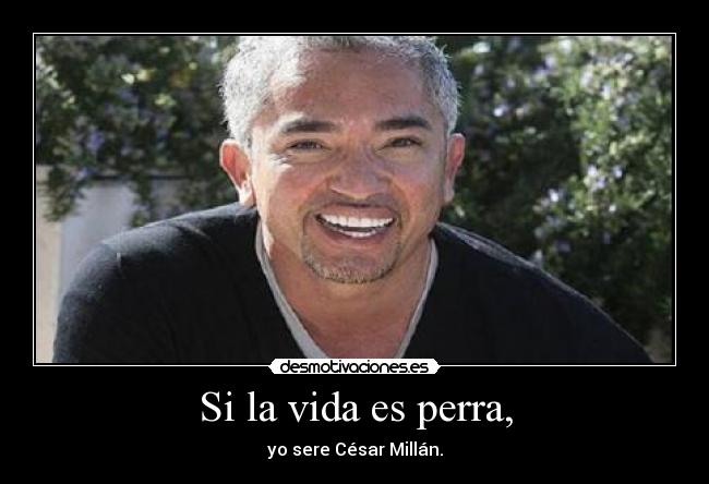 Si la vida es perra, - yo sere César Millán.
