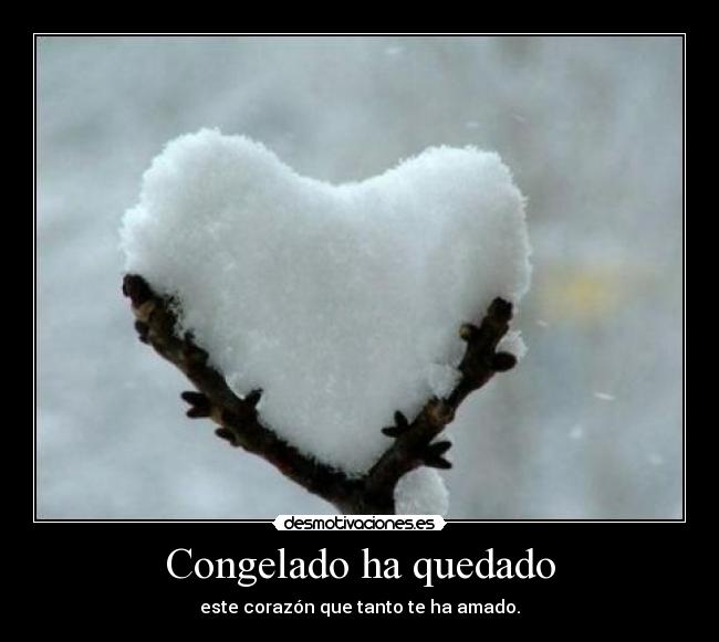 Congelado ha quedado -