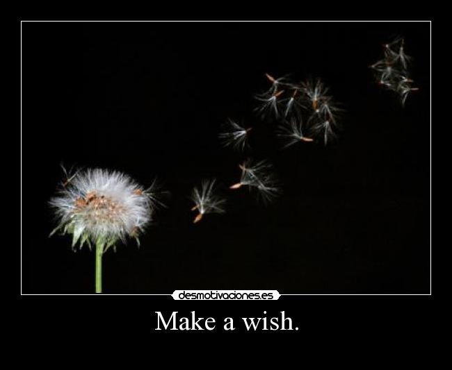 Make a wish. - 