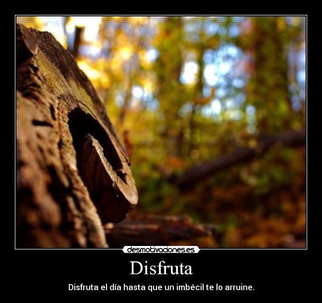Disfruta - Disfruta el día hasta que un imbécil te lo arruine.