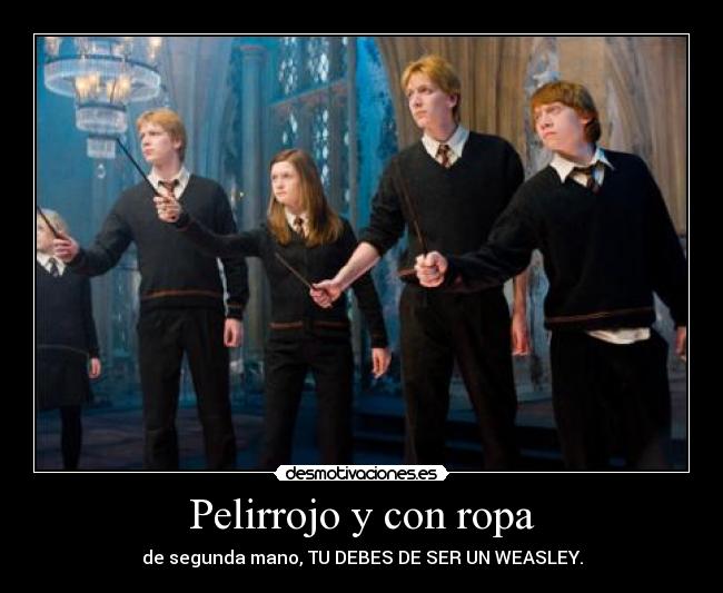 Pelirrojo y con ropa - de segunda mano, TU DEBES DE SER UN WEASLEY.