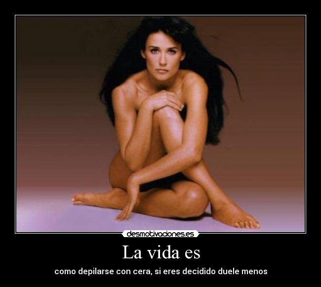 carteles vida t3l5 desmotivaciones