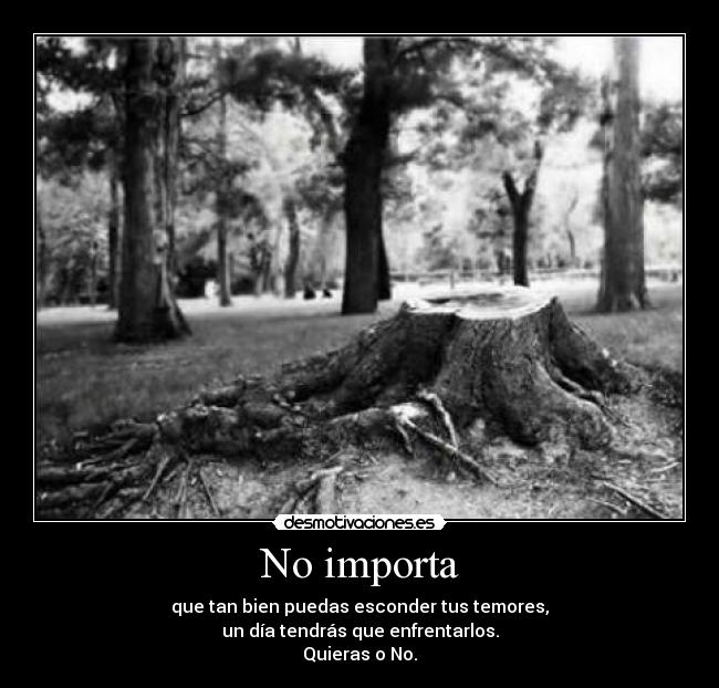 No importa - que tan bien puedas esconder tus temores,
un día tendrás que enfrentarlos.
Quieras o No.
