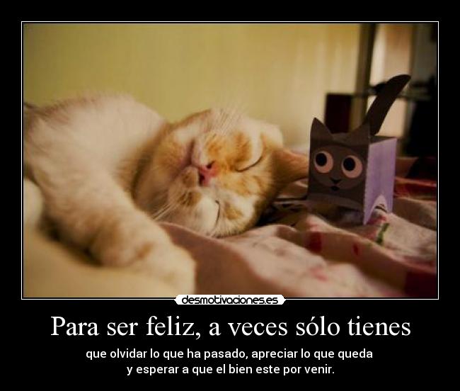 Para ser feliz, a veces sólo tienes -