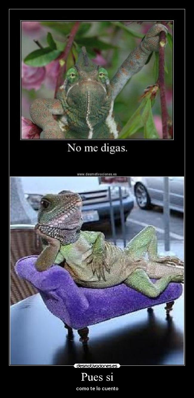 Pues si - como te lo cuento