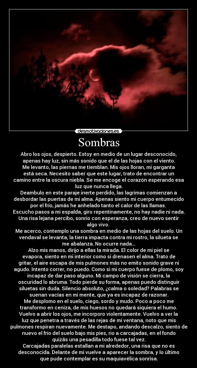 Sombras - Abro los ojos, despierto. Estoy en medio de un lugar desconocido,
apenas hay luz, sin más sonido que el de las hojas con el viento.
Me levanto, las piernas me tiemblan. Mis ojos lloran, mi garganta
está seca. Necesito saber que este lugar, trato de encontrar un
camino entre la oscura niebla. Se me encoge el corazón esperando esa
luz que nunca llega.
Deambulo en este paraje inerte perdido, las lagrimas comienzan a
desbordar las puertas de mi alma. Apenas siento mi cuerpo entumecido
por el frío, jamás he anhelado tanto el calor de las llamas. 
Escucho pasos a mi espalda, giro repentinamente, no hay nadie ni nada.
Una risa lejana percibo, sonrio con esperanza, creo de nuevo sentir
algo vivo. 
Me acerco, contemplo una sombra en medio de las hojas del suelo. Un
vendaval se levanta, la tierra impacta contra mi rostro, la silueta se
me abalanza. No ocurre nada...
Alzo mis manos, dirijo a ellas la mirada. El color de mi piel se
evapora, siento en mi interior como si drenasen el alma. Trato de
gritar, el aire escapa de mis pulmones más no emito sonido grave ni
agudo. Intento correr, no puedo. Como si mi cuerpo fuese de plomo, soy
incapaz de dar paso alguno. Mi campo de visión se cierra, la
oscuridad lo abruma. Todo pierde su forma, apenas puedo distinguir
siluetas sin duda. Silencio absoluto, ¿calma o soledad? Palabras se
suenan vacías en mi mente, que ya es incapaz de razonar.
Me desplomo en el suelo, ciego, sordo y mudo. Poco a poco me
transformo en ceniza, de mis huesos no quedará siquiera el humo.
Vuelvo a abrir los ojos, me incorporo violentamente. Vuelvo a ver la
luz que penetra a través de las rejas de mi ventana, noto que mis
pulmones respiran nuevamente. Me destapo, andando descalzo, siento de
nuevo el frío del suelo bajo mis pies, rio a carcajadas, en el fondo
quizás una pesadilla todo fuese tal vez.
Carcajadas paralelas estallan a mi alrededor, una risa que no es
desconocida. Delante de mi vuelve a aparecer la sombra, y lo último
que pude contemplar es su maquiavélica sonrisa.