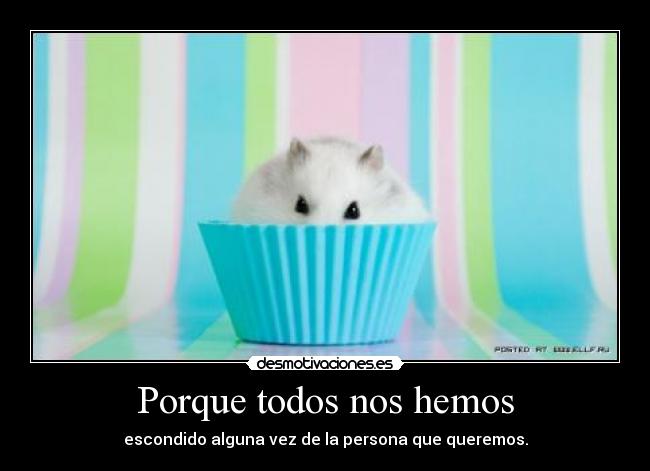 Porque todos nos hemos -