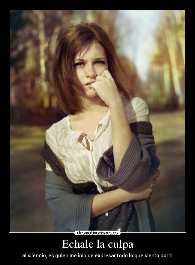 Echale la culpa - 