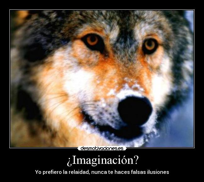 ¿Imaginación? - 