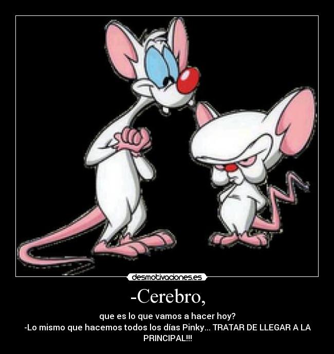-Cerebro, -