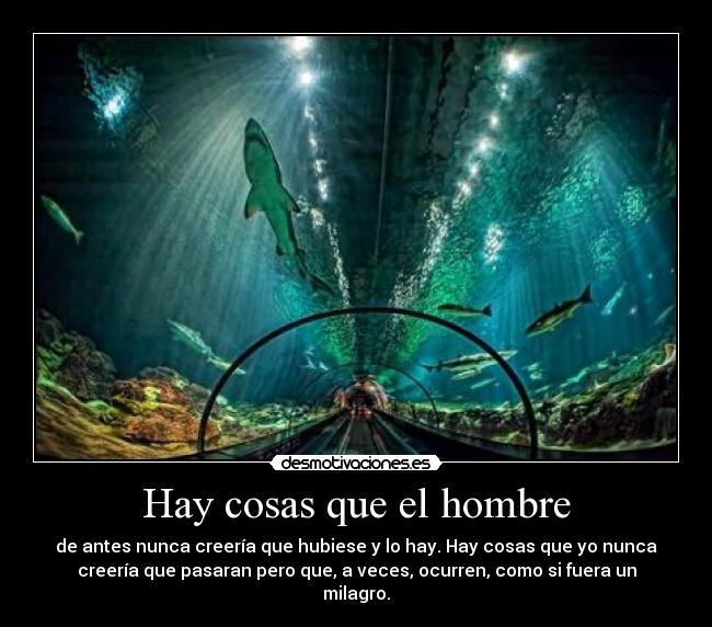 Hay cosas que el hombre - de antes nunca creería que hubiese y lo hay. Hay cosas que yo nunca
creería que pasaran pero que, a veces, ocurren, como si fuera un
milagro.