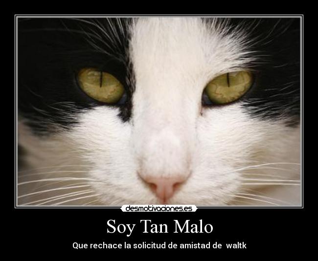 Soy Tan Malo - Que rechace la solicitud de amistad de waltk