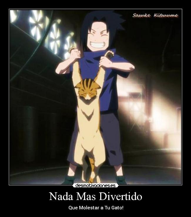 Nada Mas Divertido - Que Molestar a Tu Gato!