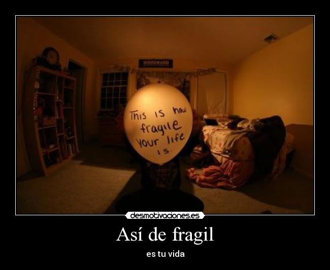 Así de fragil -