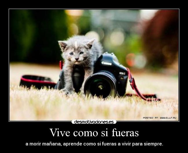 Vive como si fueras -