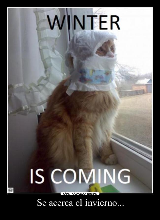Se acerca el invierno... -