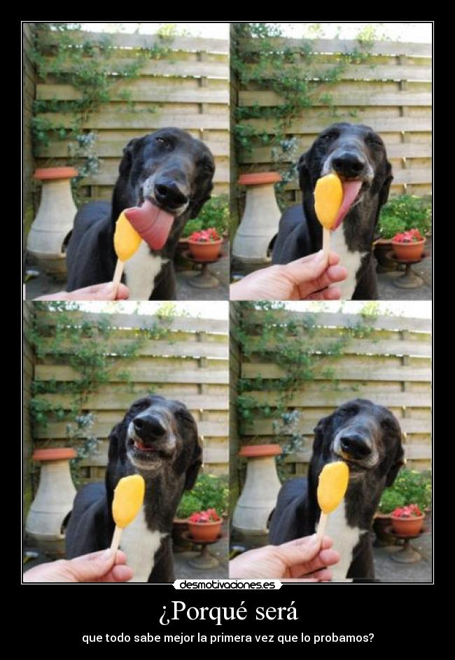 ¿Porqué será - que todo sabe mejor la primera vez que lo probamos?