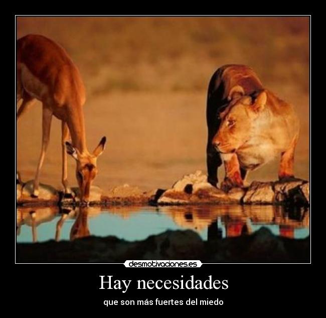 Hay necesidades - que son más fuertes del miedo