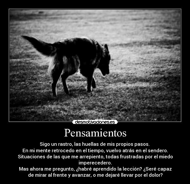 carteles pensamientos dias pensar resubido errata corregida desmotivaciones