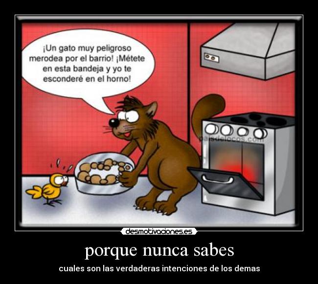 porque nunca sabes - 