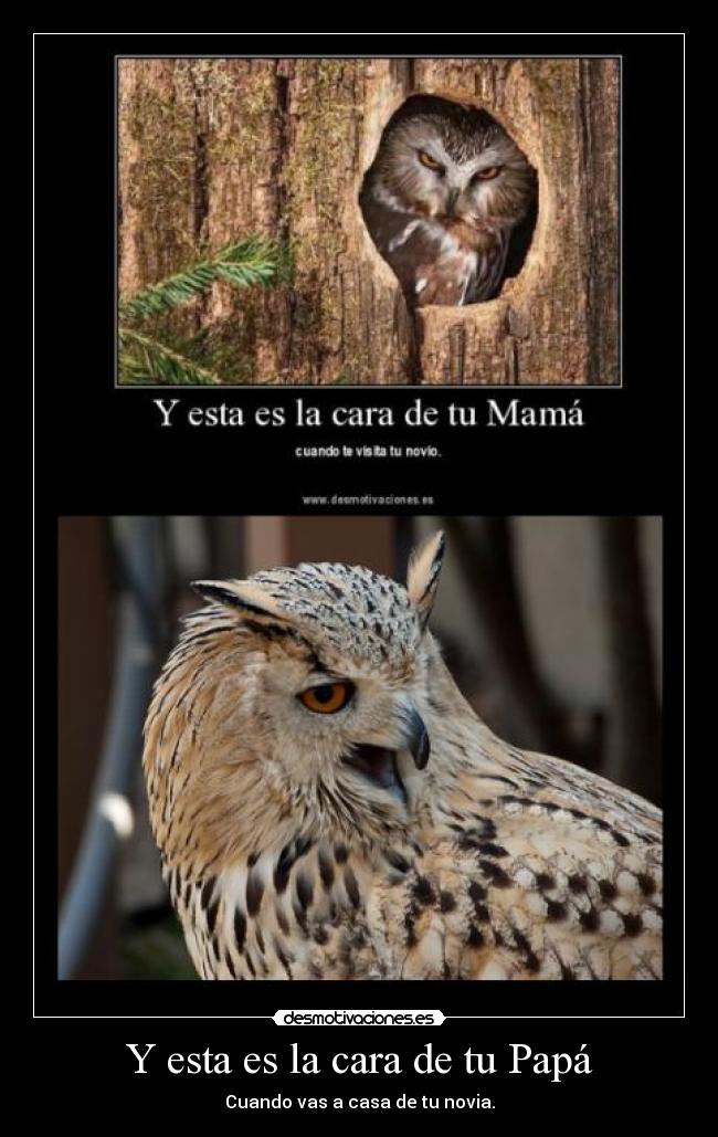 carteles cara papa desmotivaciones