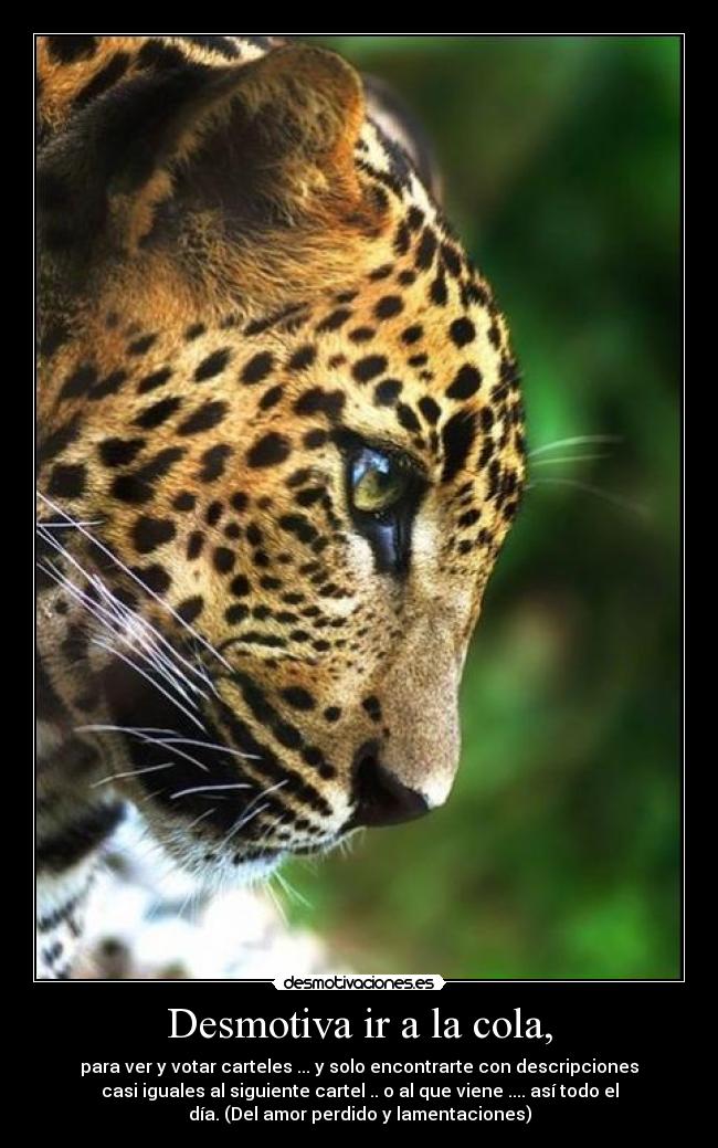 Desmotiva ir a la cola, - 