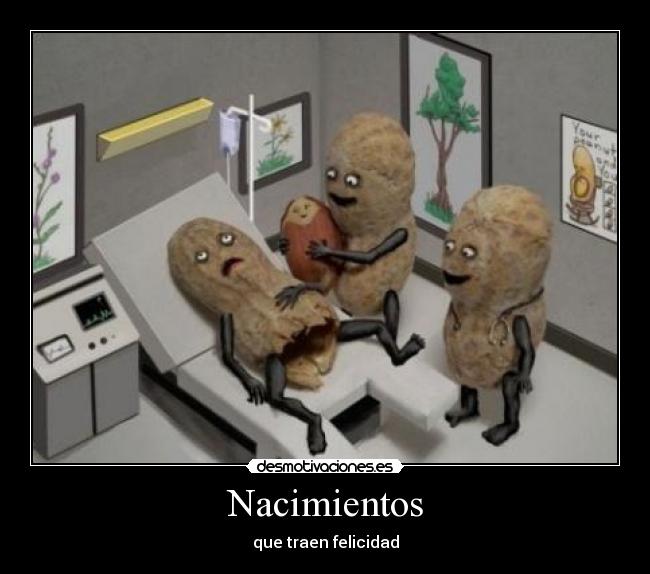 Nacimientos -