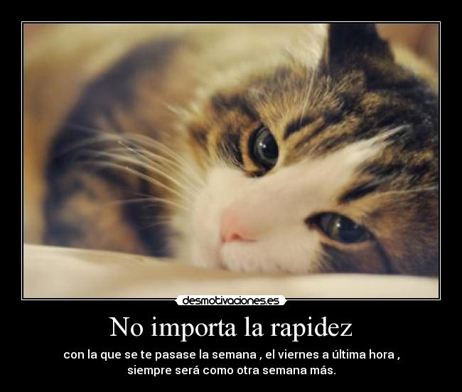 No importa la rapidez -