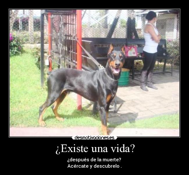 ¿Existe una vida? - 