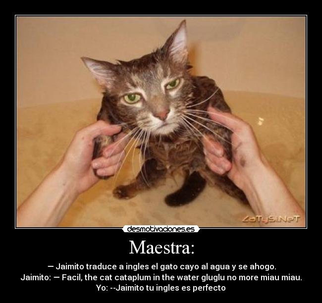 Maestra: - — Jaimito traduce a ingles el gato cayo al agua y se ahogo.
Jaimito: — Facil, the cat cataplum in the water gluglu no more miau miau.
Yo: --Jaimito tu ingles es perfecto