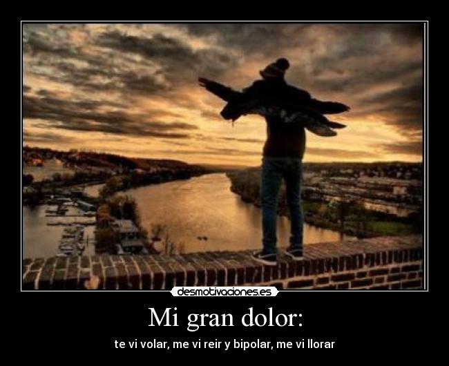 Mi gran dolor: - te vi volar, me vi reir y bipolar, me vi llorar