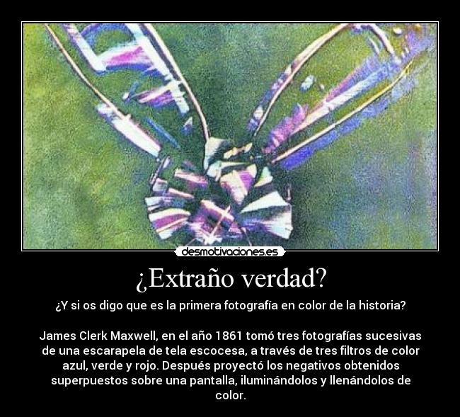 ¿Extraño verdad? - 