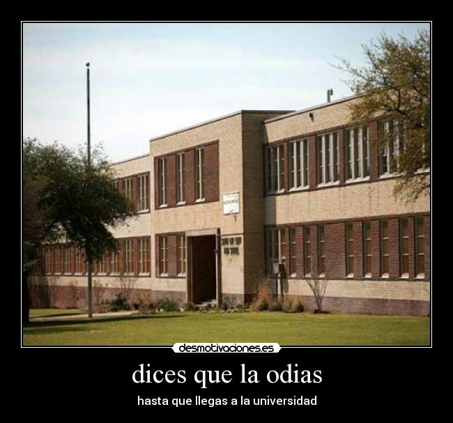 dices que la odias -