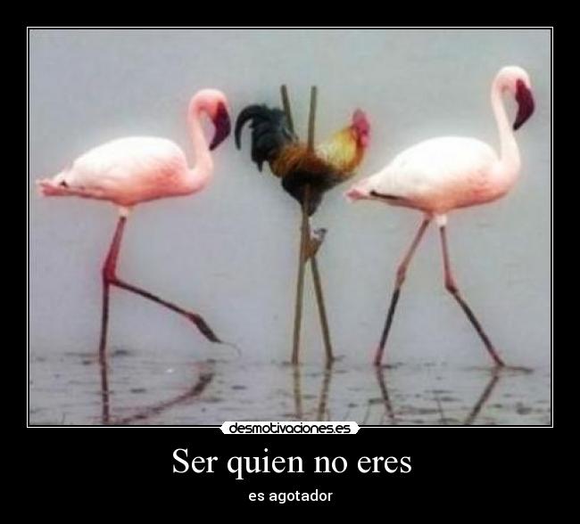 Ser quien no eres - 