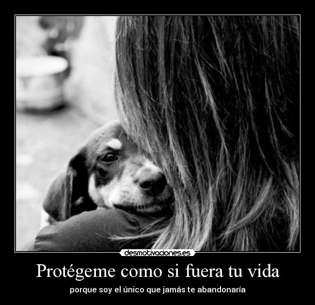 Protégeme como si fuera tu vida - 