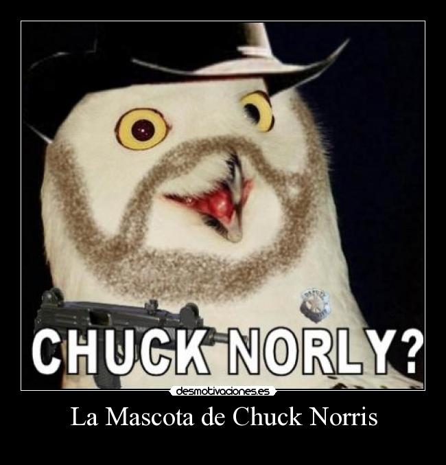 La Mascota de Chuck Norris -