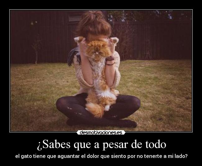 ¿Sabes que a pesar de todo - 