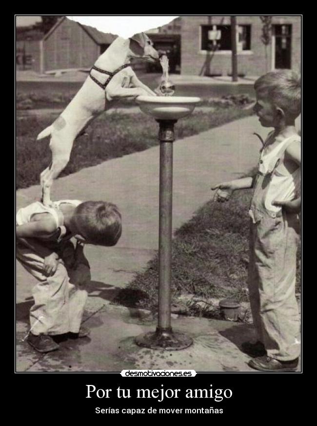Por tu mejor amigo - Serías capaz de mover montañas
