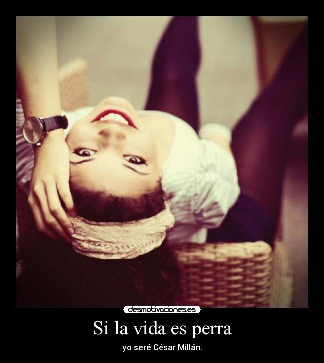 Si la vida es perra - yo seré César Millán.