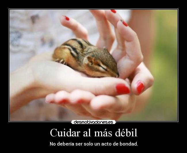 Cuidar al más débil - No debería ser solo un acto de bondad.