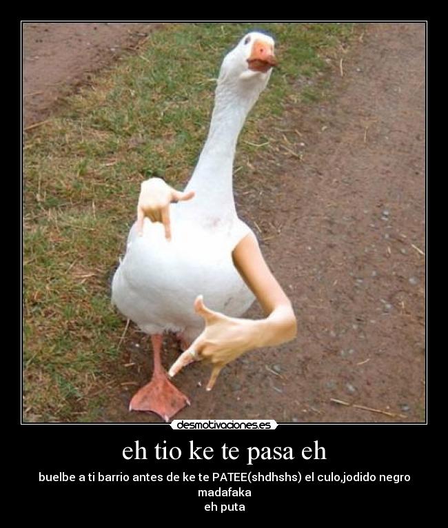 eh tio ke te pasa eh -