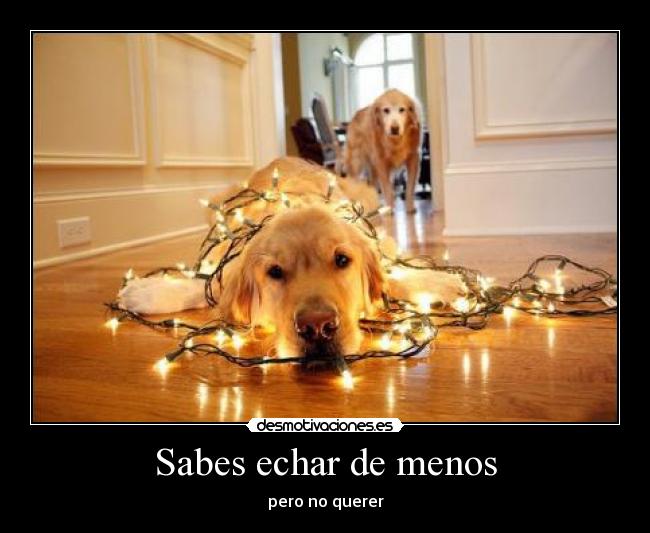 Sabes echar de menos - 