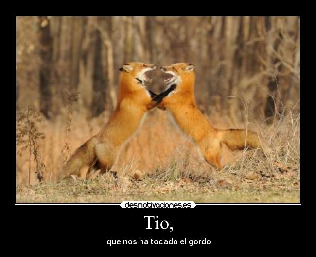 carteles gracia desmotivaciones