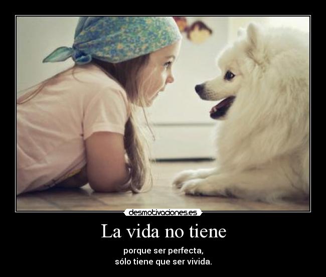 La vida no tiene - 